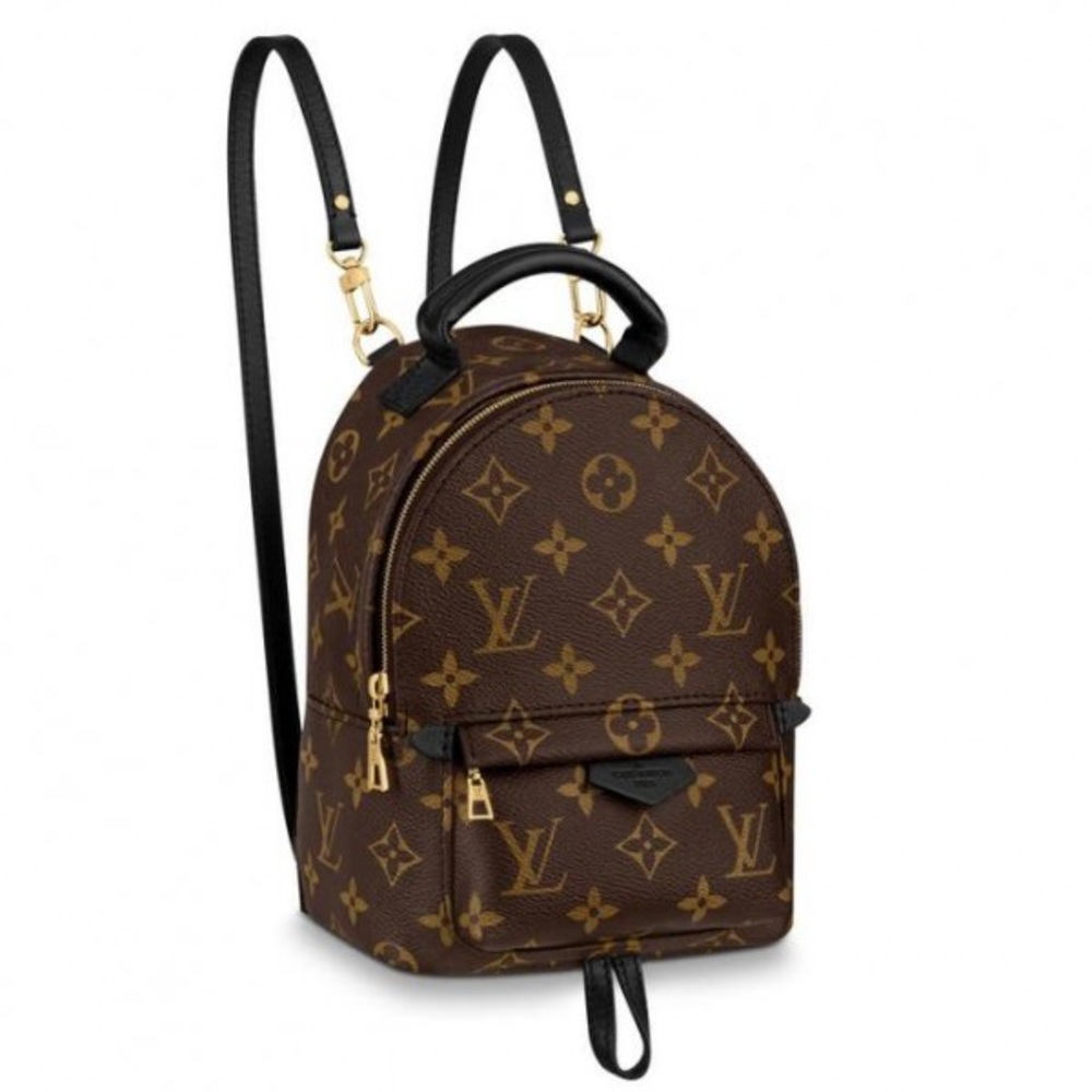 Mini Palm Spring Backpack/Purse